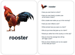 flashcard showing colorful rooster and nine conversation starter questions
