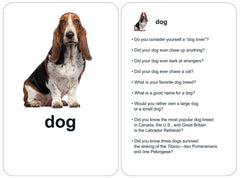 flashcard showing basset hound dog and nine conversation starter questions